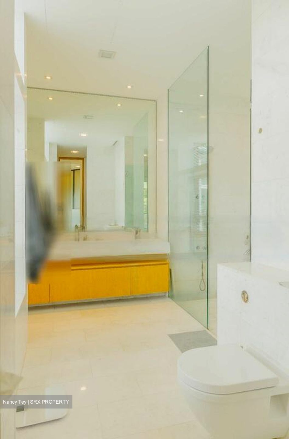 Belle Vue Residences (D9), Condominium #471319861